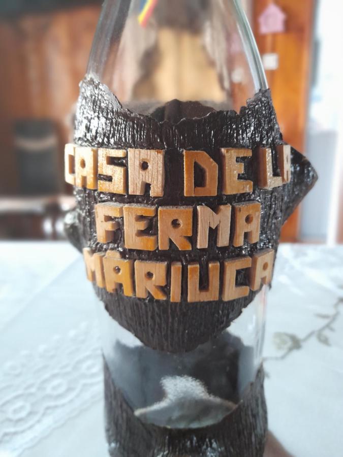 Casa De La Ferma Mariuca Villa Berbesti Buitenkant foto