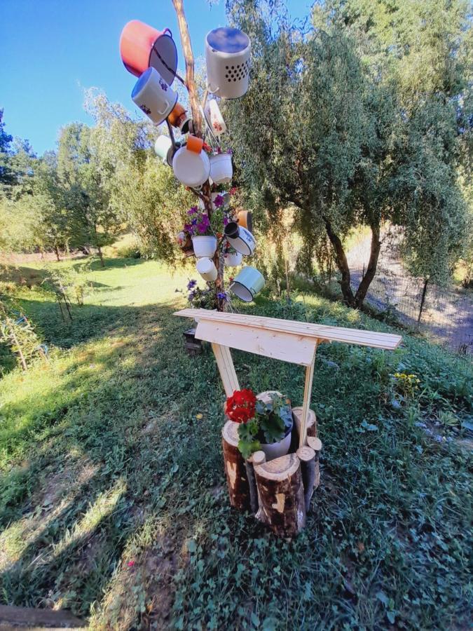 Casa De La Ferma Mariuca Villa Berbesti Buitenkant foto