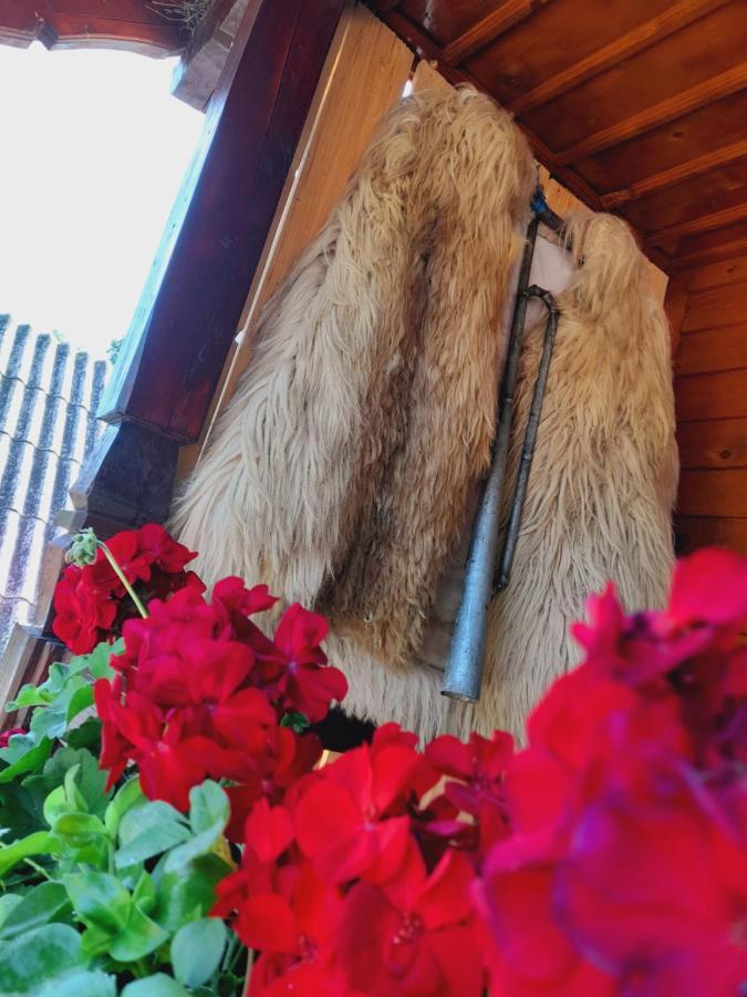 Casa De La Ferma Mariuca Villa Berbesti Buitenkant foto