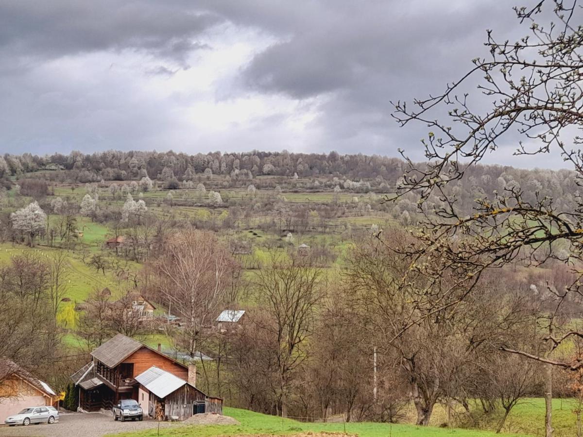 Casa De La Ferma Mariuca Villa Berbesti Buitenkant foto