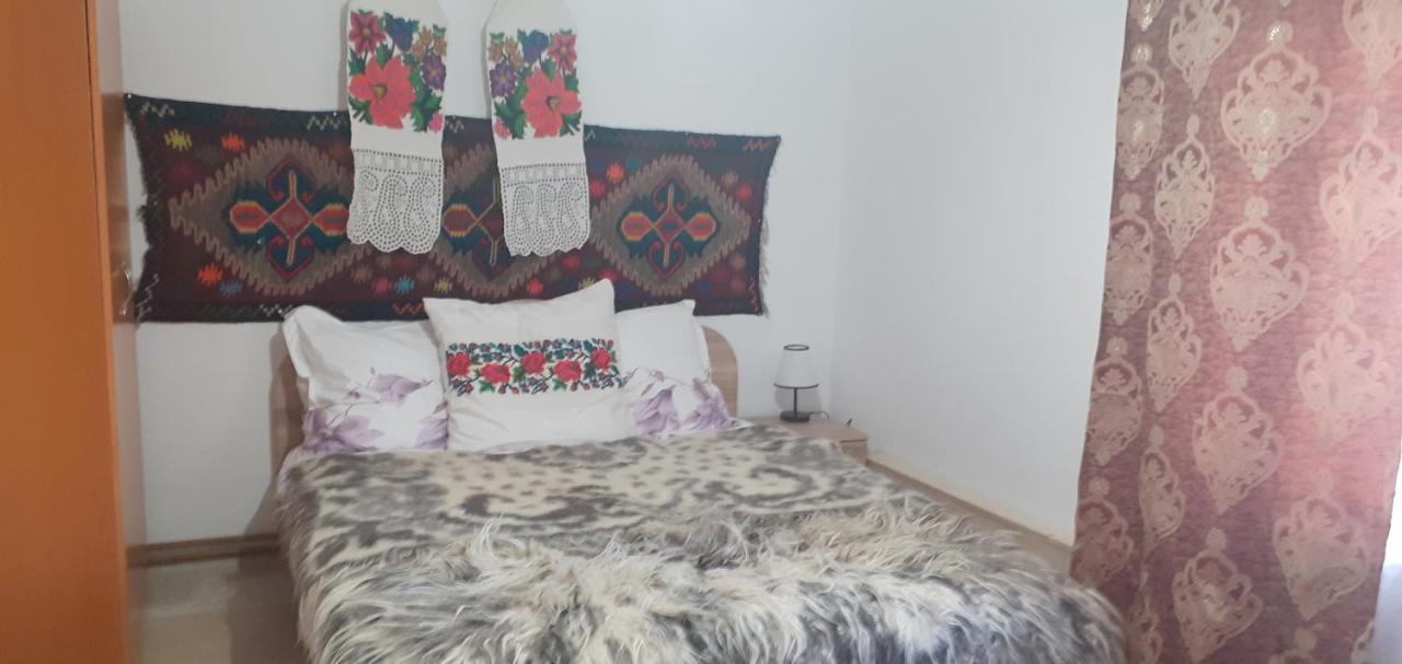 Casa De La Ferma Mariuca Villa Berbesti Buitenkant foto