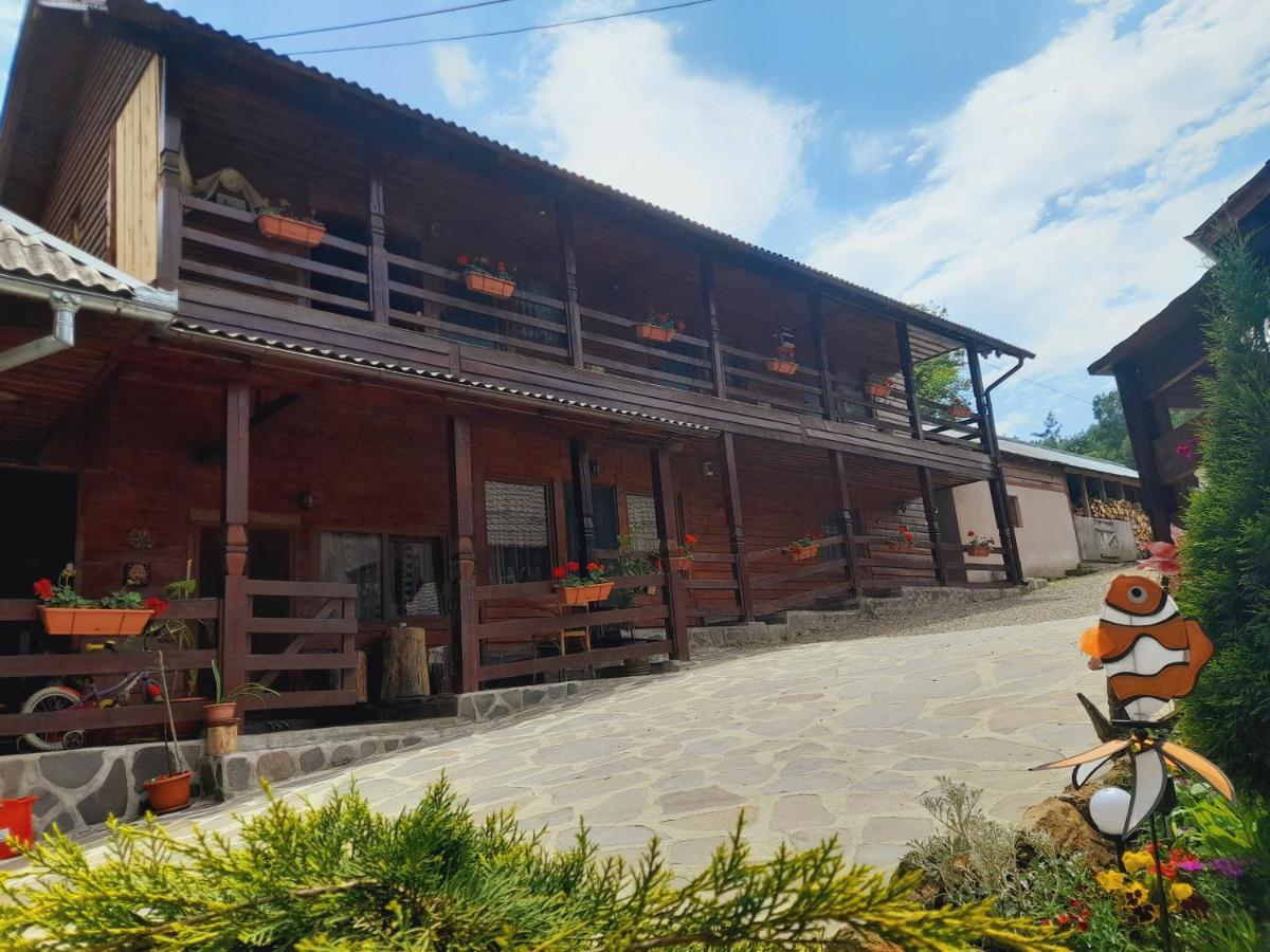 Casa De La Ferma Mariuca Villa Berbesti Buitenkant foto