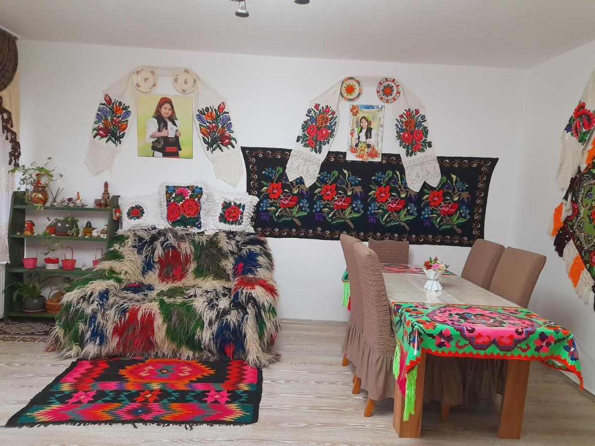 Casa De La Ferma Mariuca Villa Berbesti Buitenkant foto
